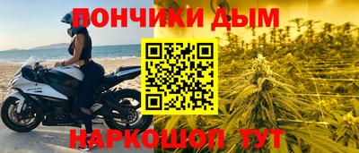 индика Гай