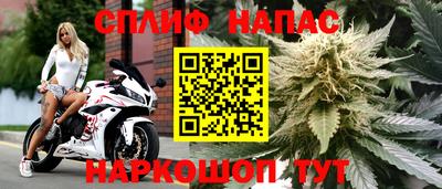 индика Гай