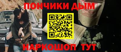 индика Гай