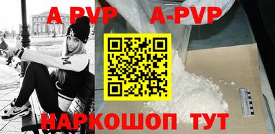 индика Гай