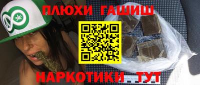 индика Гай