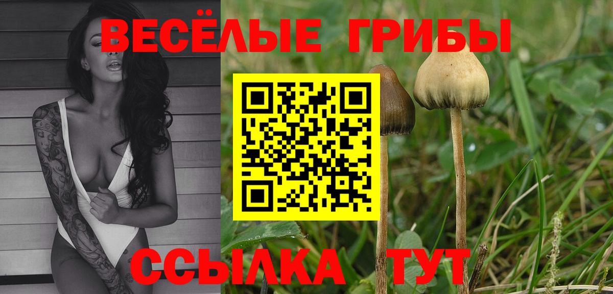 Миасс  Галлюциногенные грибы MAGIC MUSHROOMS  Вход с VPN 